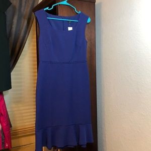 Ann Taylor Dress NWT